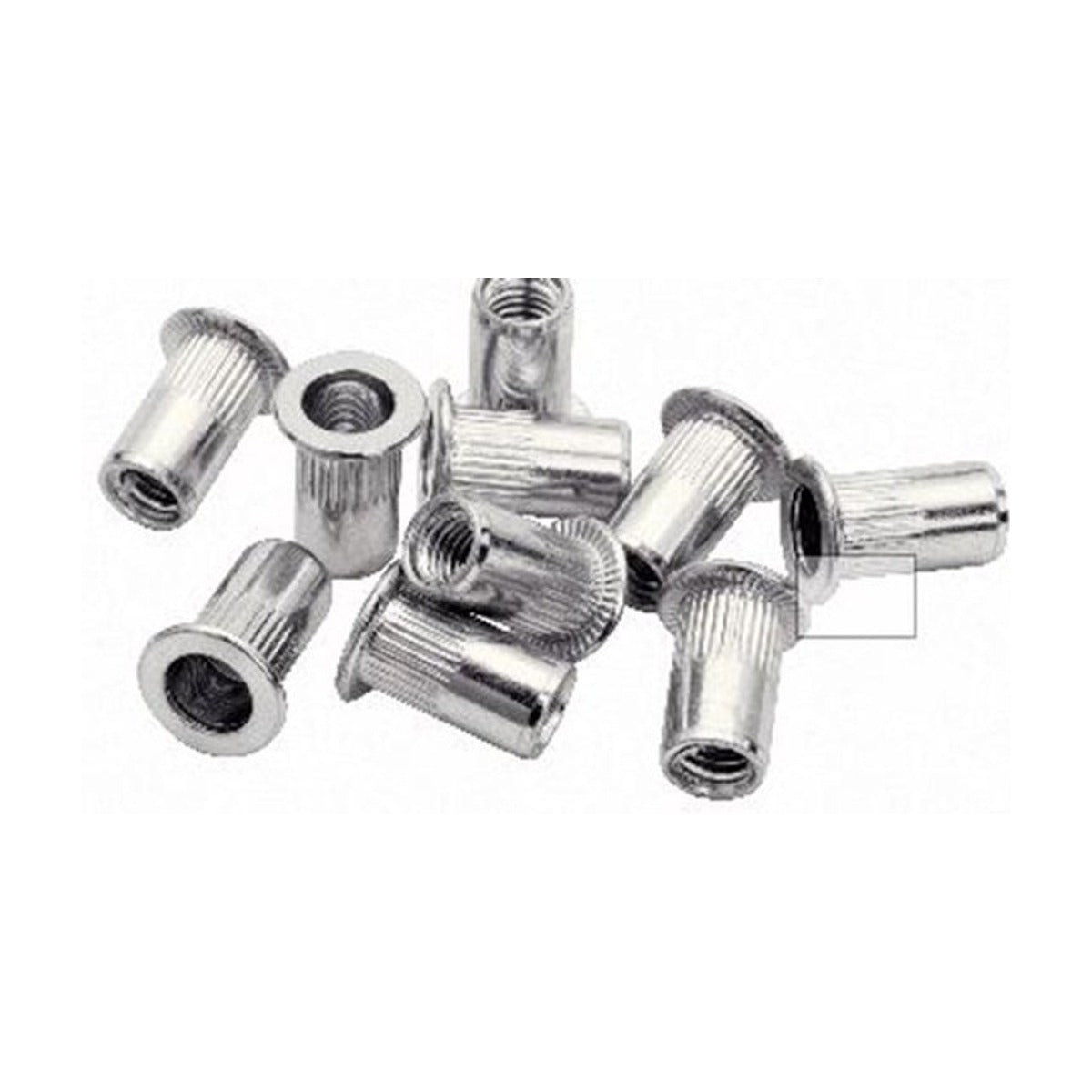 Blindklinkmoeren M5 incl. Boor 20 st., Box