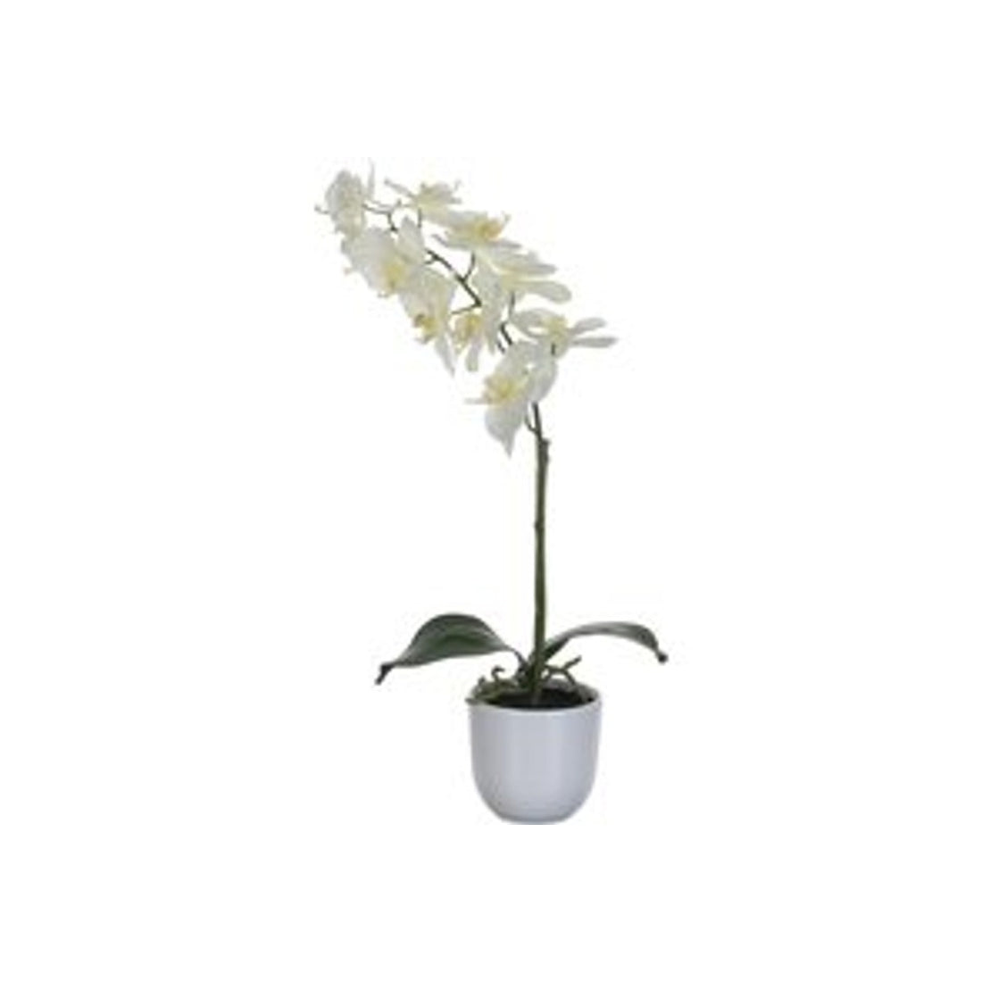 Mica Decorations Phalaenopsis Kunstplant in Bloempot Tusca - H60 x Ø16 cm - Wit