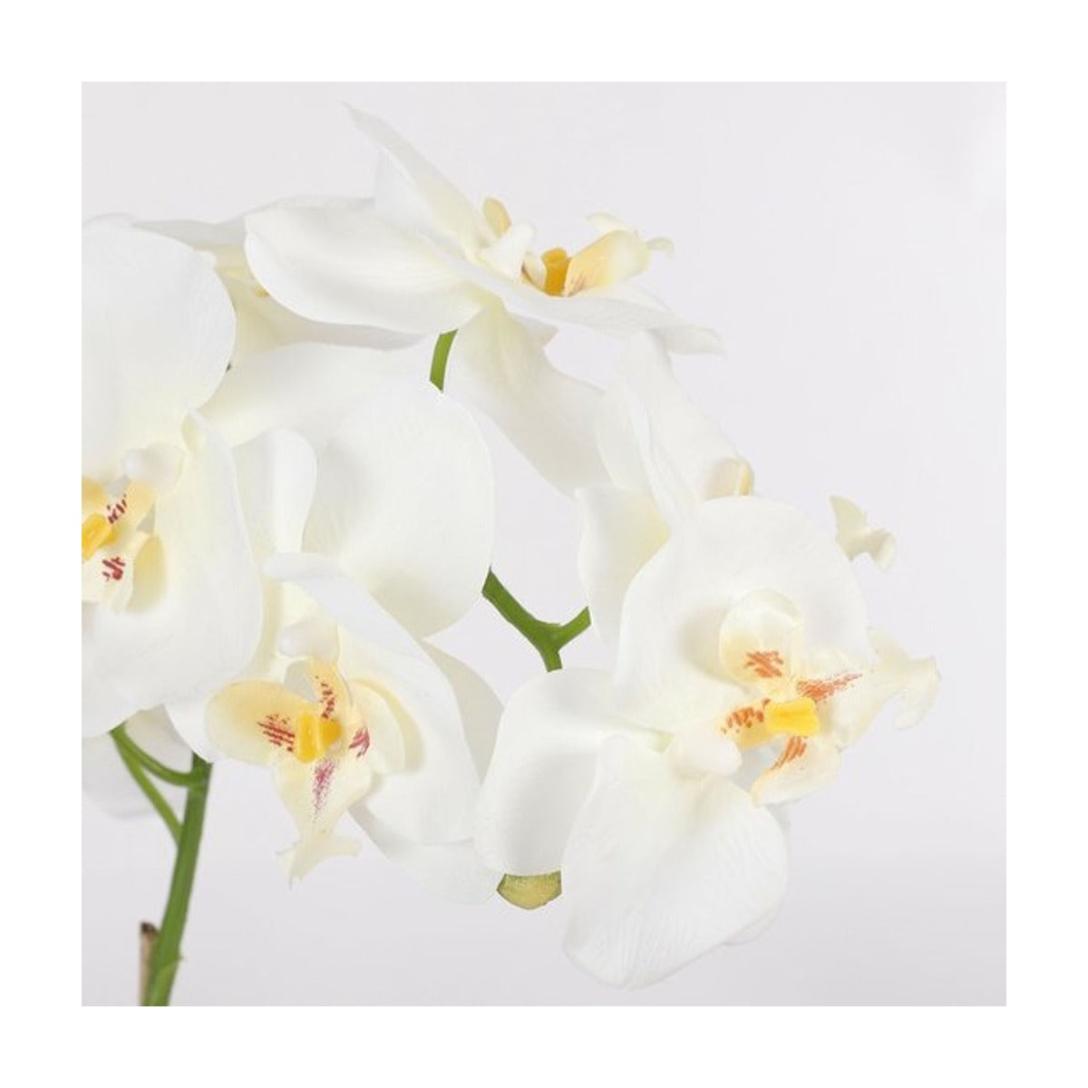 Mica Decorations Phalaenopsis Kunstplant in Bloempot Tusca - H60 x Ø16 cm - Wit