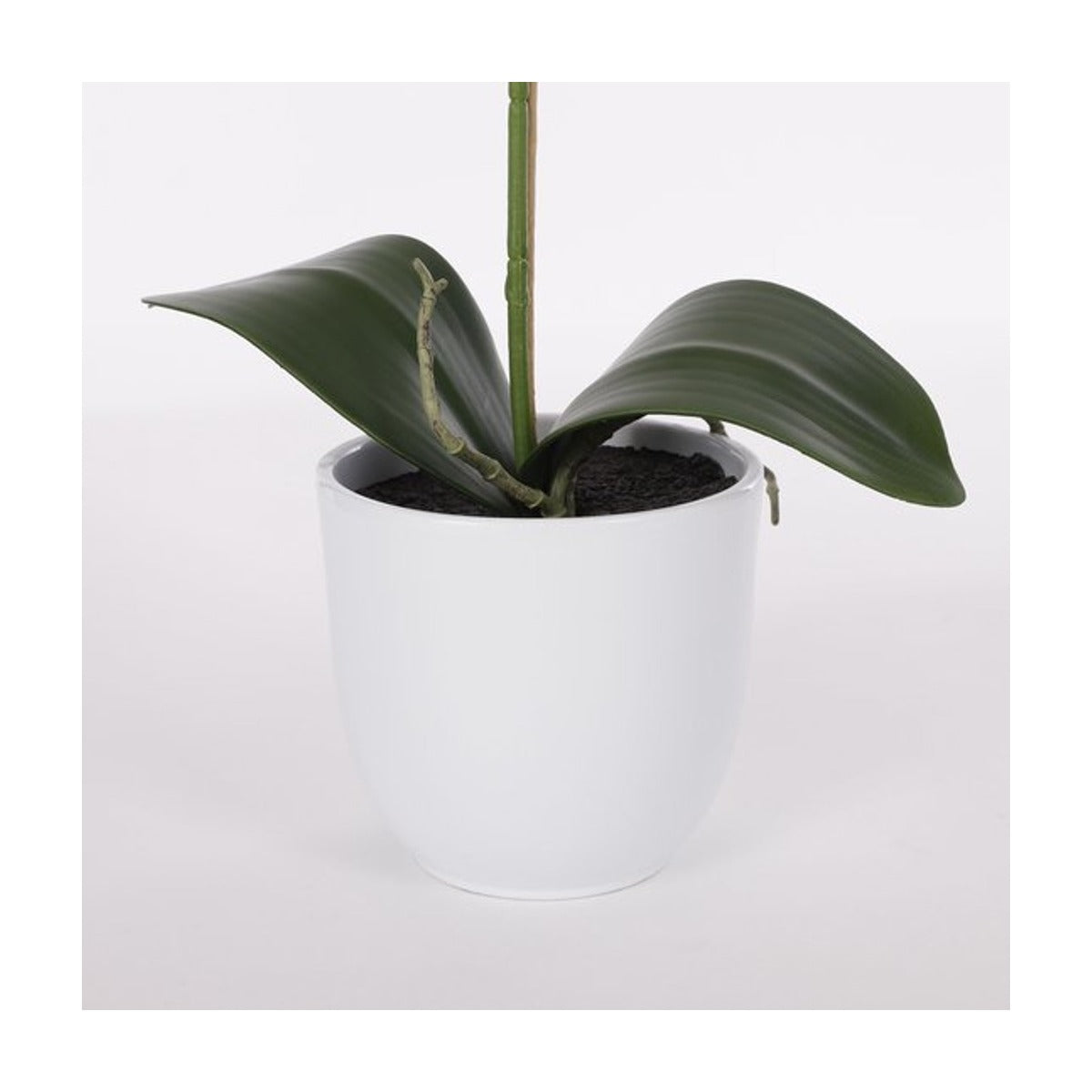 Mica Decorations Phalaenopsis Kunstplant in Bloempot Tusca - H60 x Ø16 cm - Wit