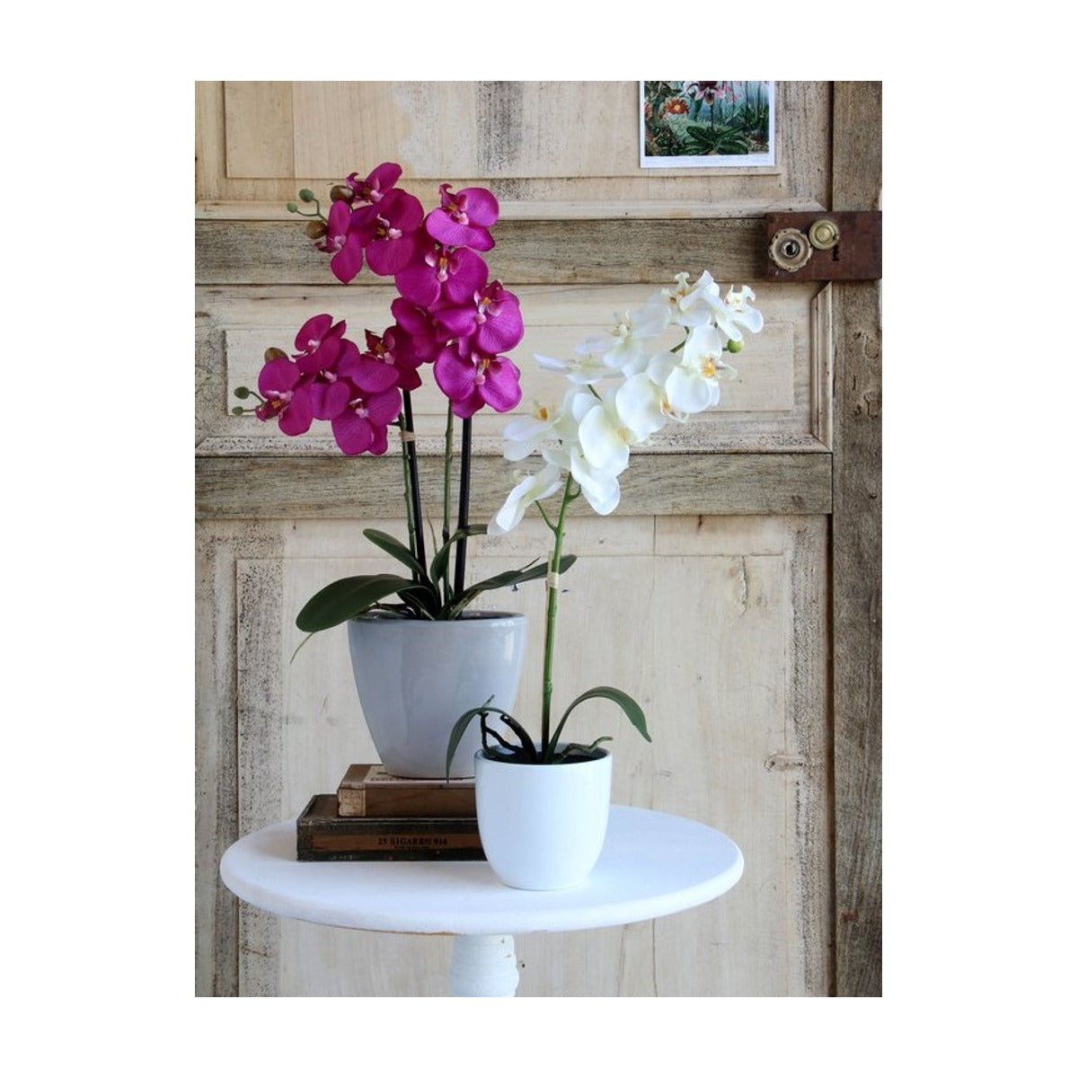 Mica Decorations Phalaenopsis Kunstplant in Bloempot Tusca - H60 x Ø16 cm - Wit
