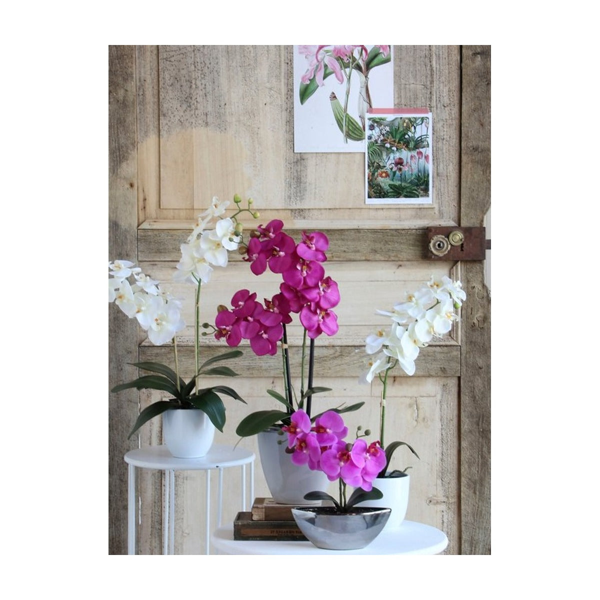 Mica Decorations Phalaenopsis Kunstplant in Bloempot Tusca - H60 x Ø16 cm - Wit