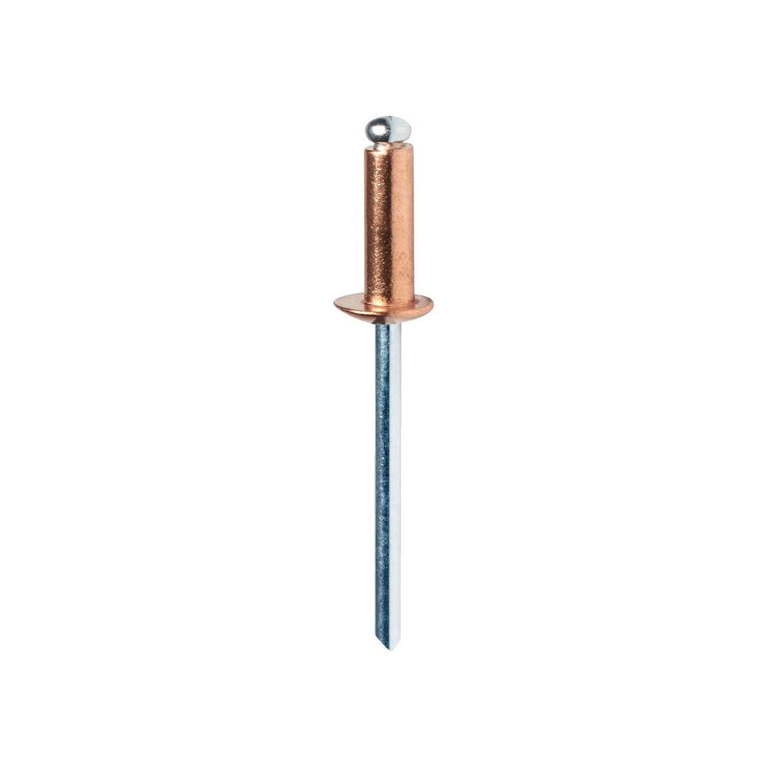 Blindklinknagels verkoperd Ø 4,8 x 12 mm incl. Boor 50 st., Box