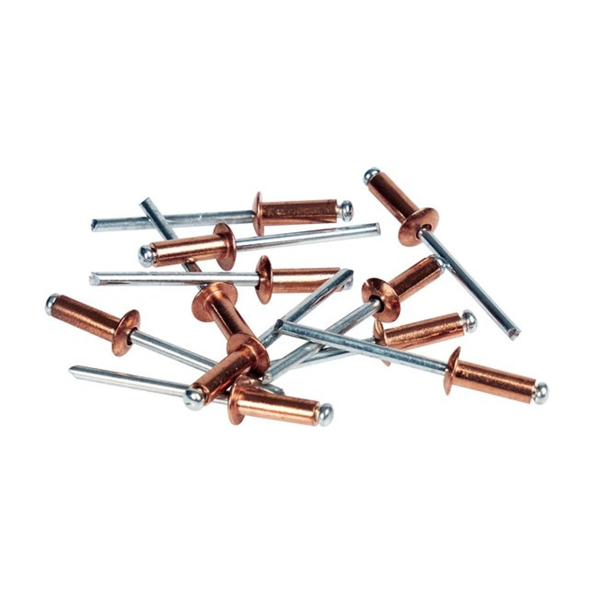 Blindklinknagels verkoperd Ø 4,8 x 12 mm incl. Boor 50 st., Box