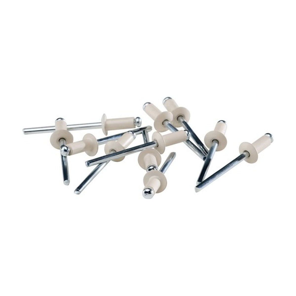 Blindklinknagels gebroken wit Ø 4 x 10 mm incl. Boor 50 st., Box