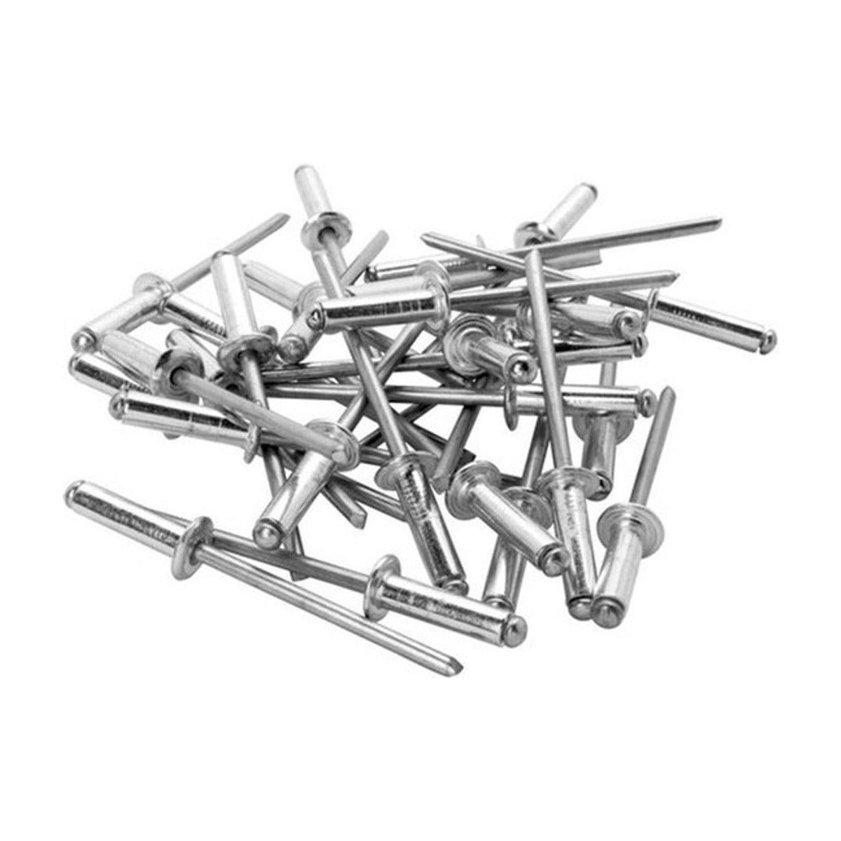 Blindklinknagels Standaard Ø 4 x 12 mm 100 st., Zak