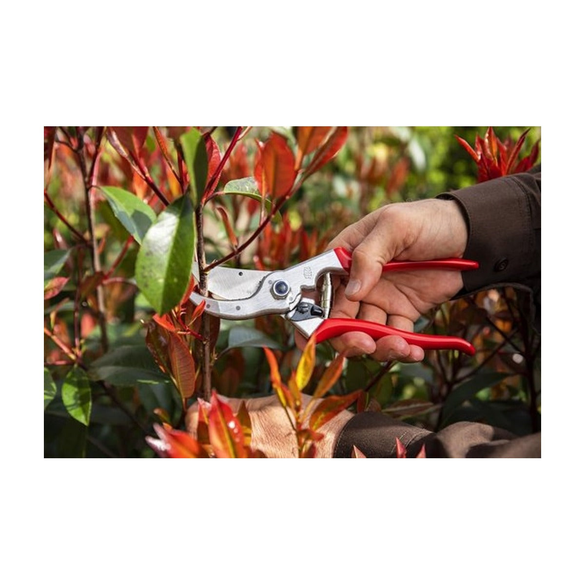 Felco 4 Snoeischaar - Max. knipdiameter 25 mm - Lengte 210 mm