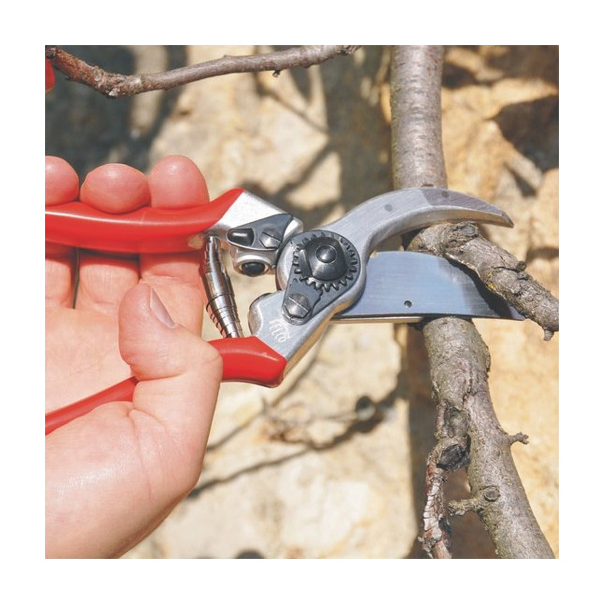 Felco 2 Snoeischaar – Professioneel Model – Inclusief Reserve Bovenmes – Ø 25 mm