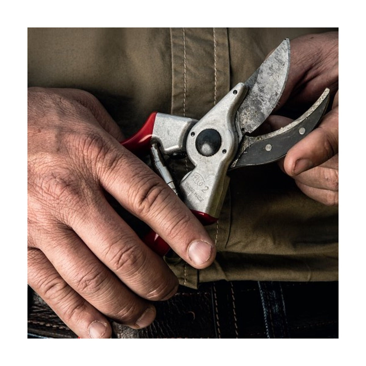 Felco 2 Snoeischaar – Professioneel Model – Inclusief Reserve Bovenmes – Ø 25 mm