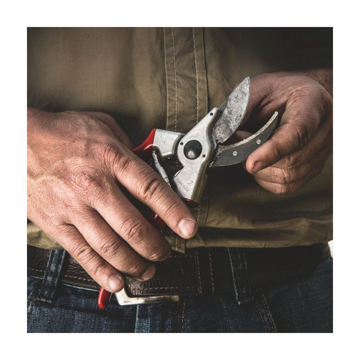 Felco 2 Snoeischaar – Professioneel Model – Inclusief Reserve Bovenmes – Ø 25 mm