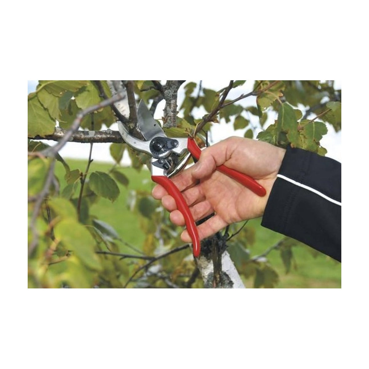 Felco 2 Snoeischaar – Professioneel Model – Inclusief Reserve Bovenmes – Ø 25 mm