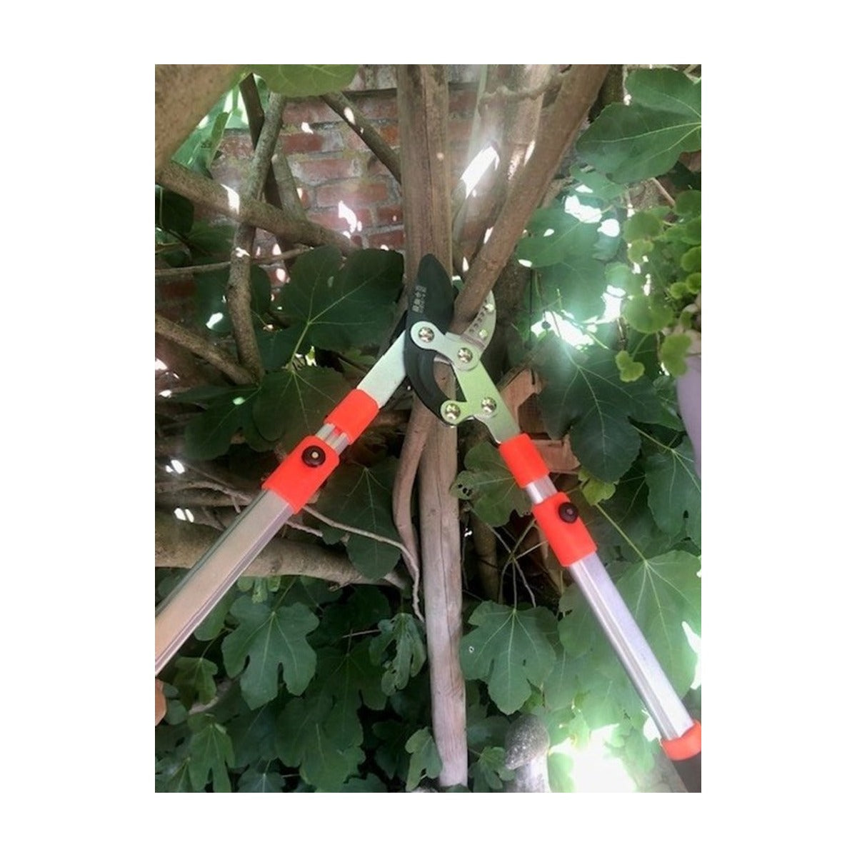 Dutchlander Telescopische aambeeld-takkenschaar 65-98 cm softgrip