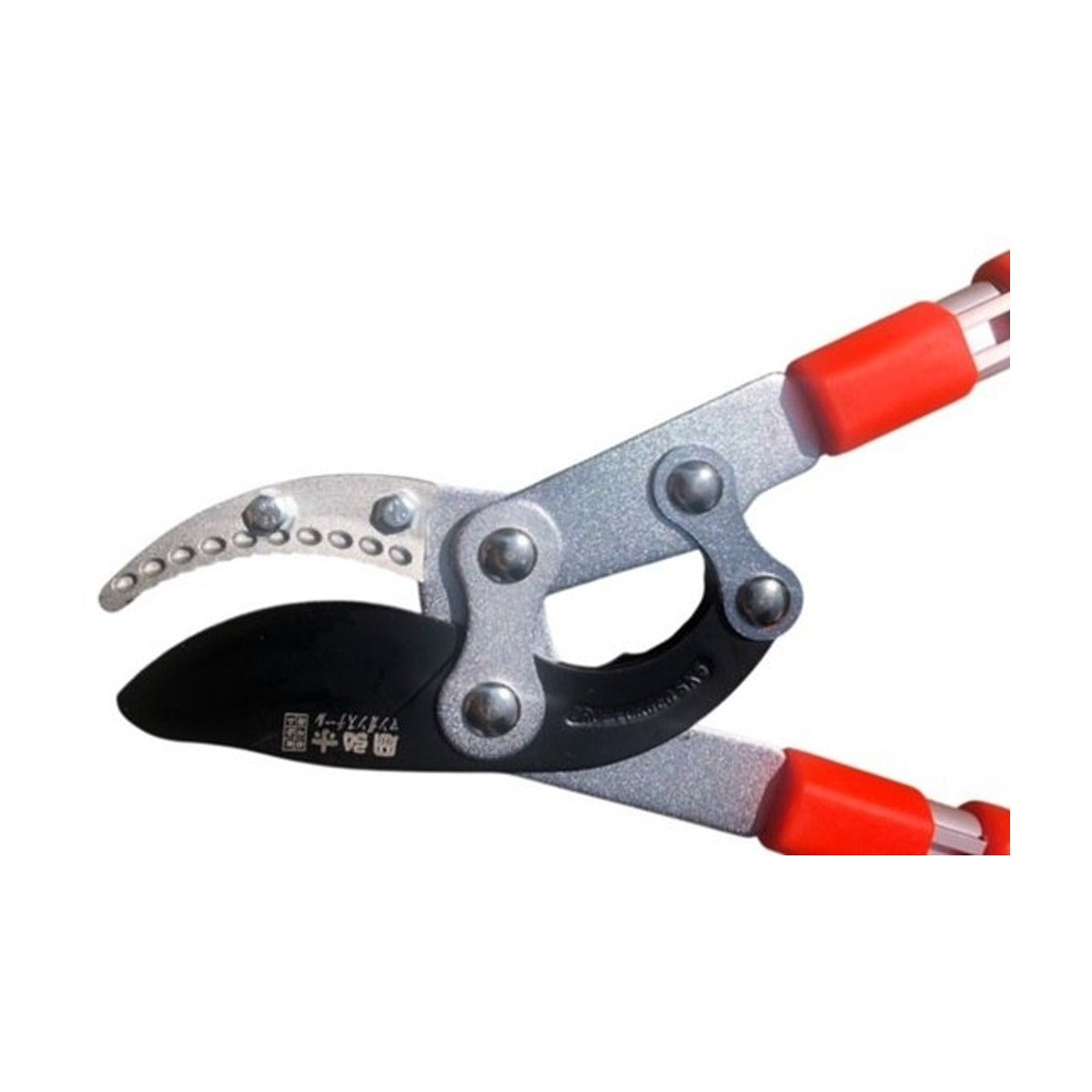 Dutchlander Telescopische aambeeld-takkenschaar 65-98 cm softgrip