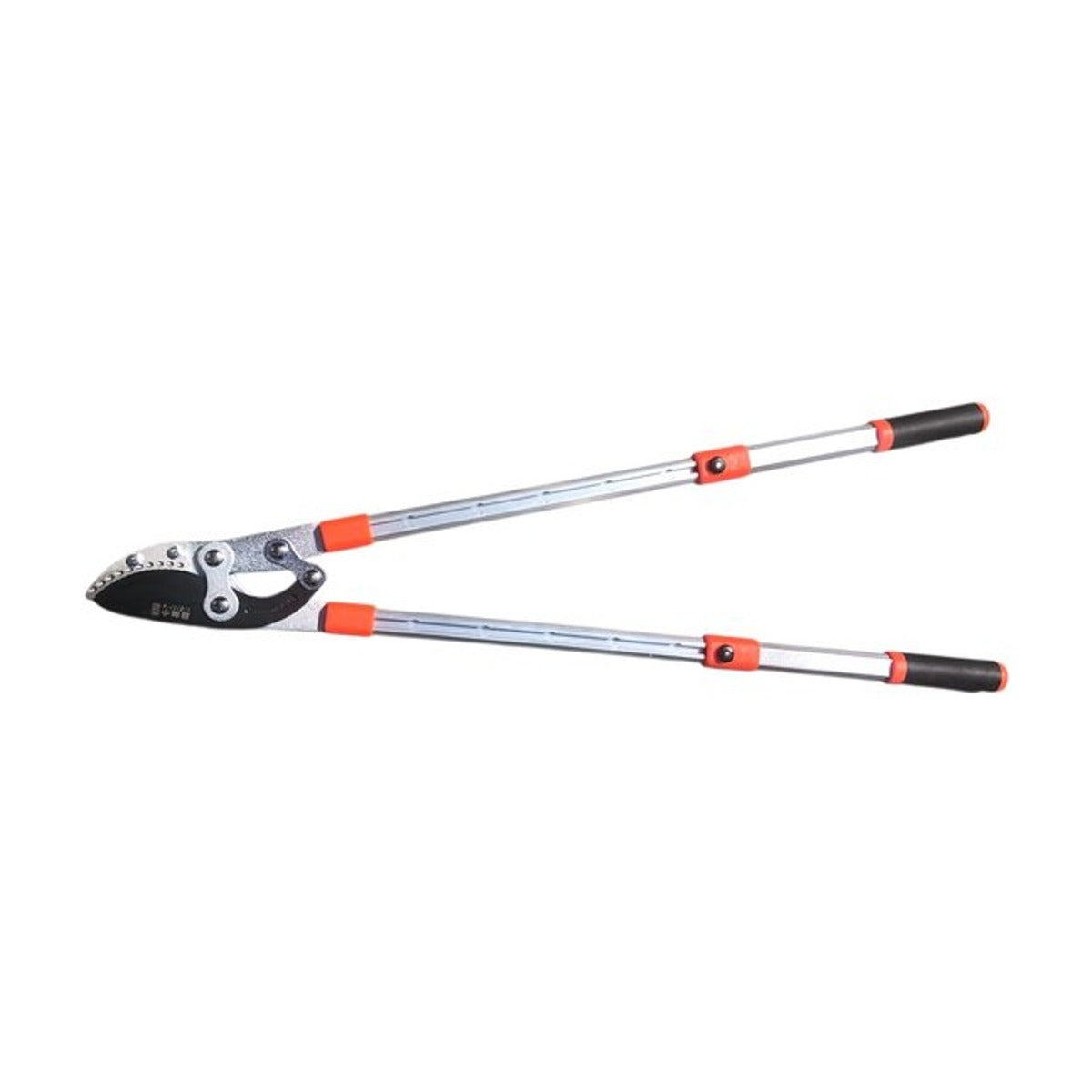 Dutchlander Telescopische aambeeld-takkenschaar 65-98 cm softgrip
