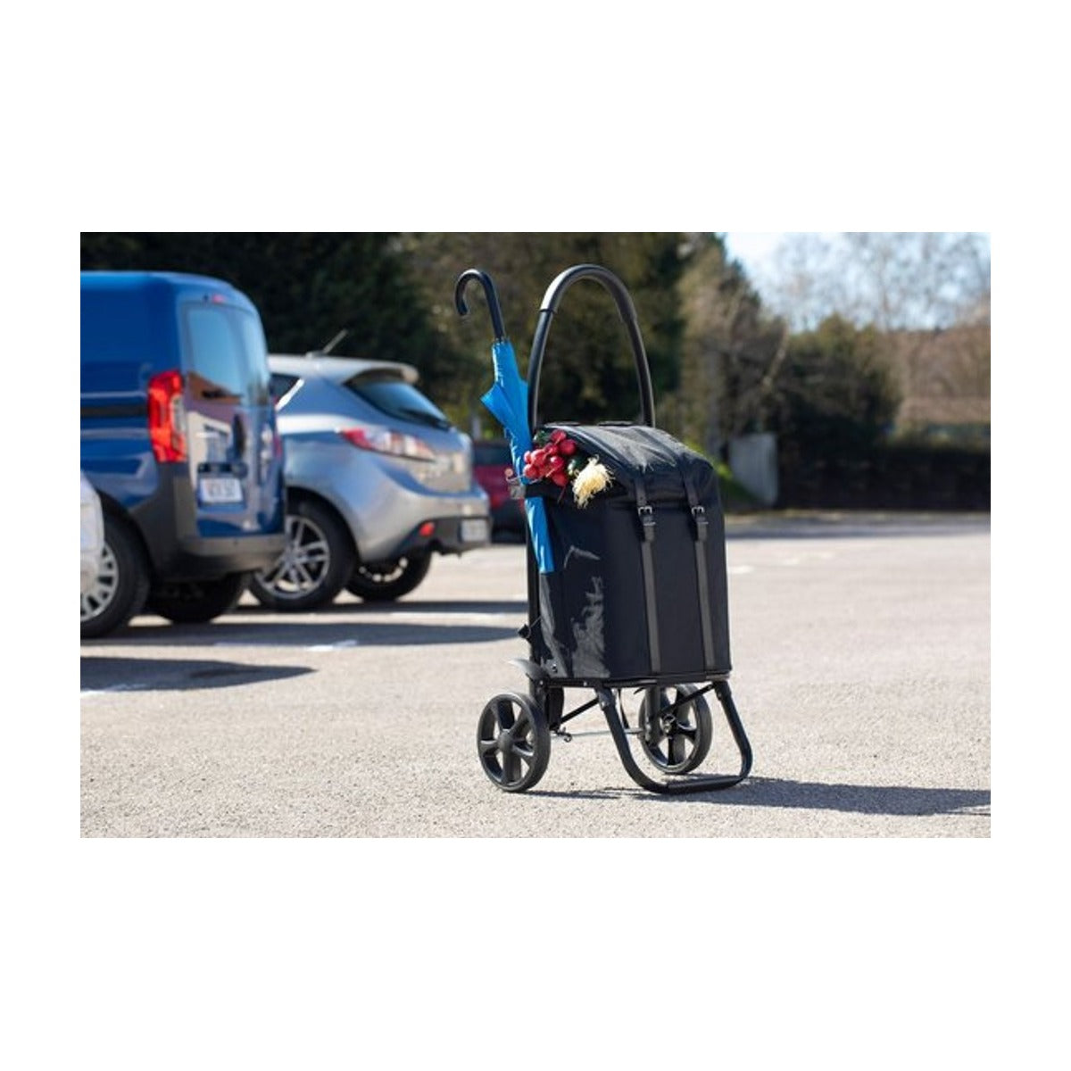 Meister Boodschappentrolley 45L – Zwart – Opvouwbaar Aluminium Frame – 2-in-1 Rugzak