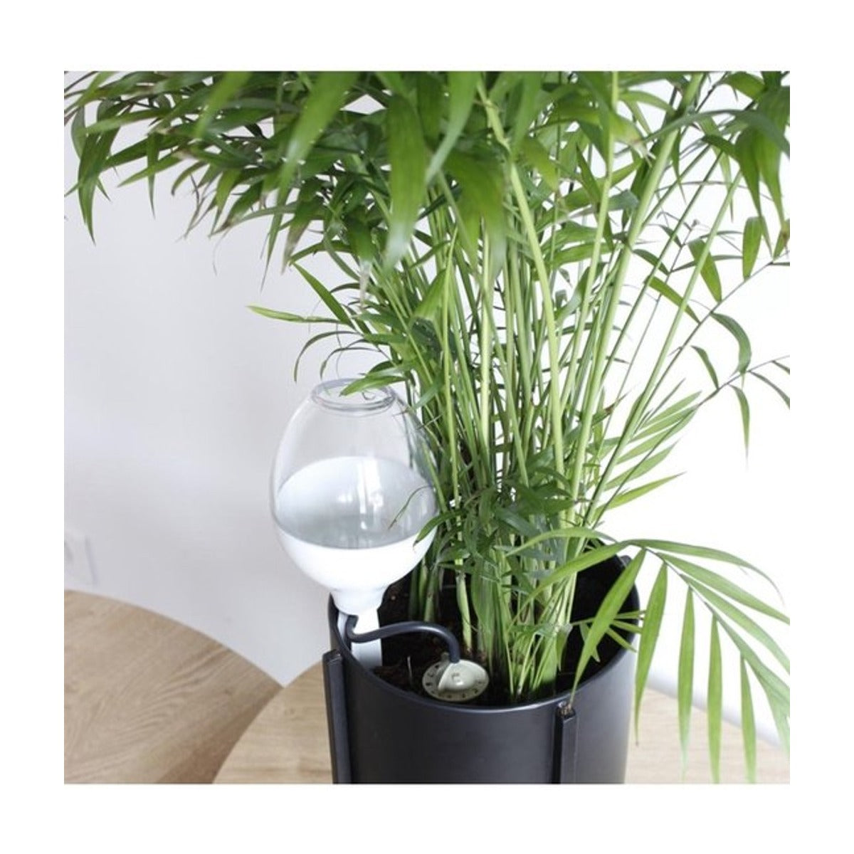 Druppelbewateringsset IRISO – 1 verstelbare druppelaar met waterreservoir 70 cl grijs – IRISO
