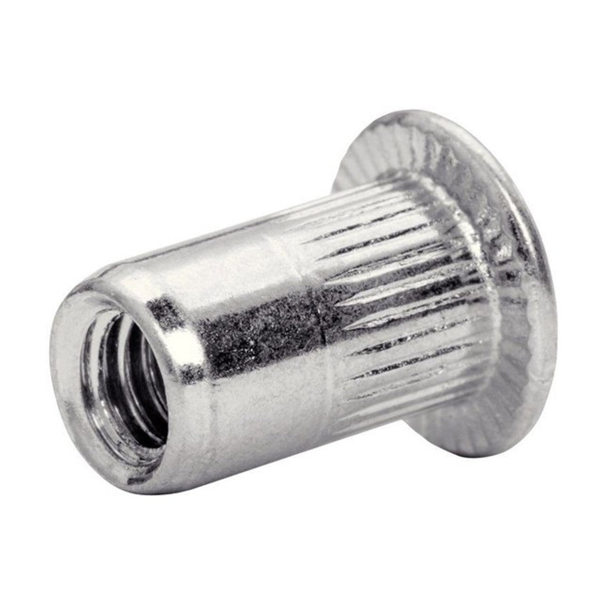 Blindklinkmoeren M4 incl. Boor 20 st., Box